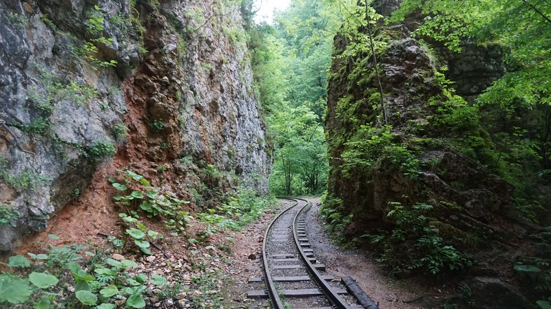 Железная дорога, узкоколейка в Гуамском ущелье